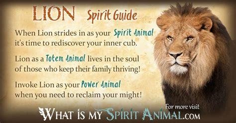 heart of a lion meaning.